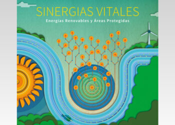 Sinergias Vitales