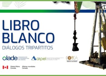 OLACDE makes available the publication “White Paper on Tripartite Dialogues”.