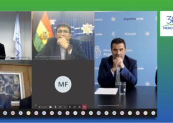Meeting of Energy Ministers of MERCOSUR Member Countries