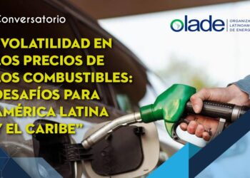How to deal with volatility in hydrocarbon prices