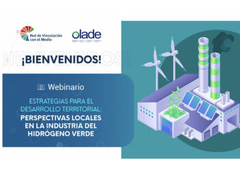 OLACDE participated in Webinar “Strategies for Territorial Development”