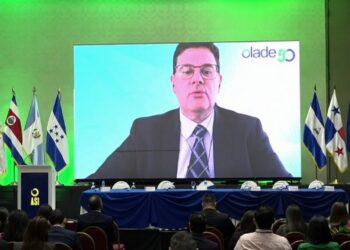 OLACDE participates in COREN 2024, focusing on energy transition