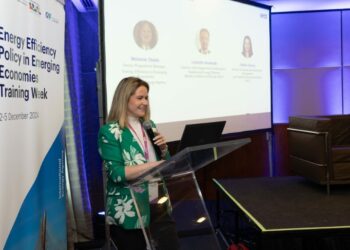 OLACDE highlights the Relevance of Energy Efficiency in Latin America during IEA Event in São Paulo