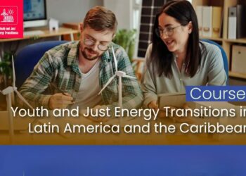 Youth and Energy Transitions: regional executive training program