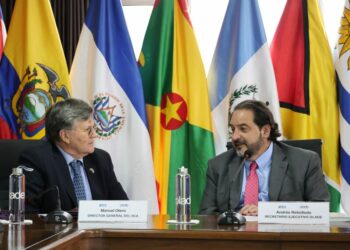 OLACDE and IICA drive strategic issues for the region’s energy transition