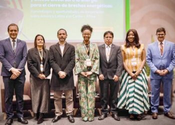 LAC and Africa strengthen cooperation on energy transition and universal access to energy